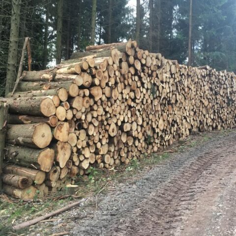 Stammholz Fichte 3m ab Ø 20 cm